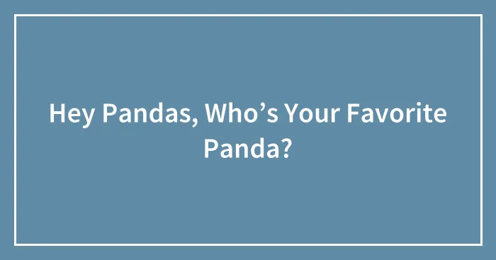 Hey Pandas, Who’s Your Favorite Panda?