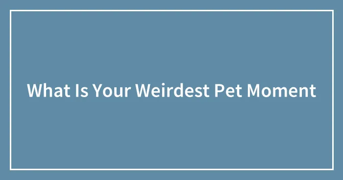 What Is Your Weirdest Pet Moment