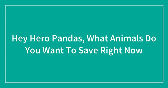 Hey Hero Pandas, What Animals Do You Want To Save Right Now