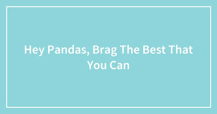 Hey Pandas, Brag The Best That You Can (Closed)