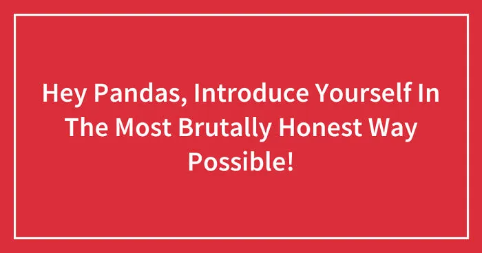 Hey Pandas, Introduce Yourself In The Most Brutally Honest Way Possible! (Closed)