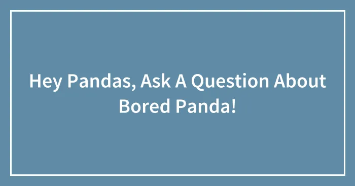 Hey Pandas, Ask A Question About Bored Panda! (Closed)