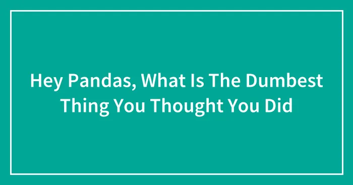 Hey Pandas, What Is The Dumbest Thing You Thought You Did