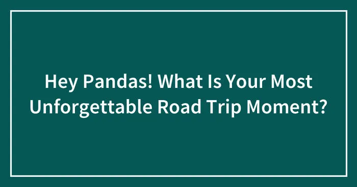 Hey Pandas! What Is Your Most Unforgettable Road Trip Moment? (Closed)