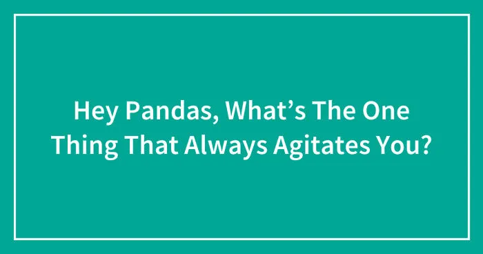 Hey Pandas, What’s The One Thing That Always Agitates You? (Closed)