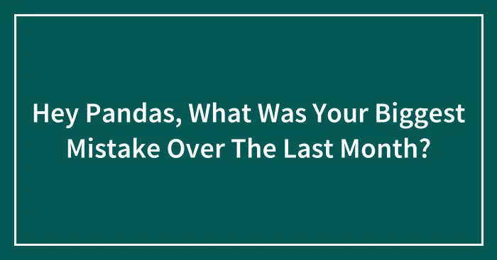 Hey Pandas, What Was Your Biggest Mistake Over The Last Month? (Closed)