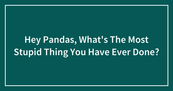 Hey Pandas, What's The Most Stupid Thing You Have Ever Done? (Closed)