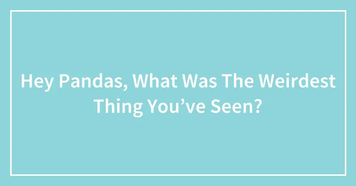 Hey Pandas, What Was The Weirdest Thing You’ve Seen? (Closed)