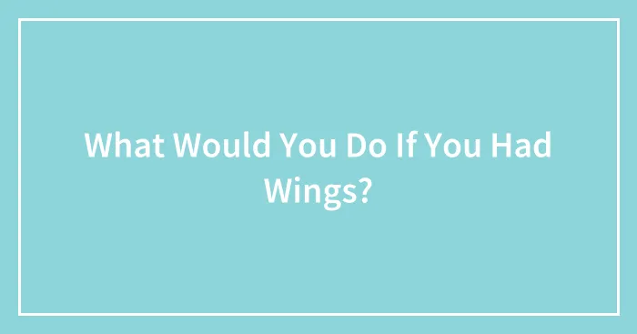 What Would You Do If You Had Wings?
