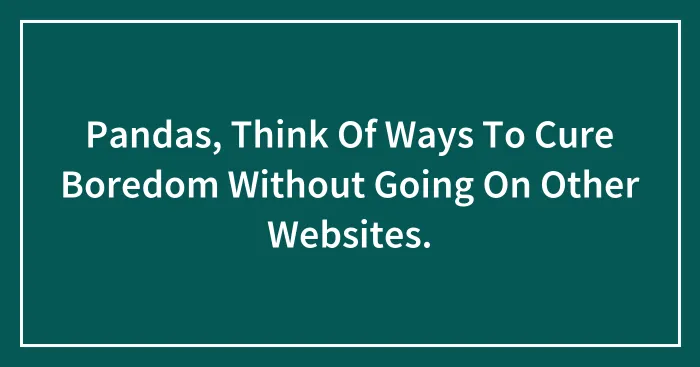 Pandas, Think Of Ways To Cure Boredom Without Going On Other Websites.