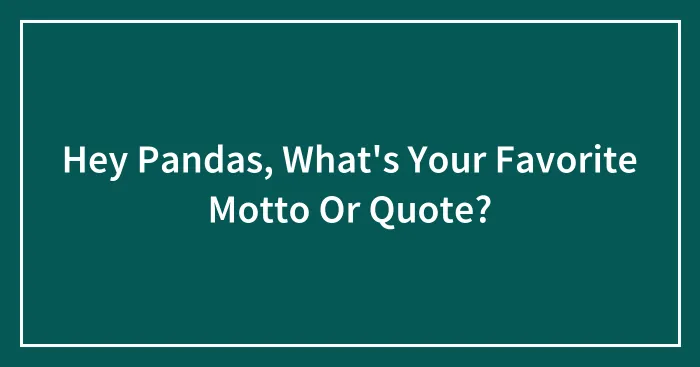 Hey Pandas, What's Your Favorite Motto Or Quote?
