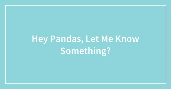 Hey Pandas, Let Me Know Something?