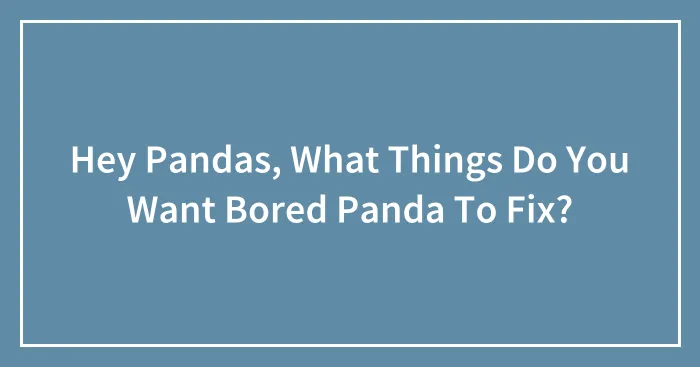 Hey Pandas, What Things Do You Want Bored Panda To Fix? (Closed)