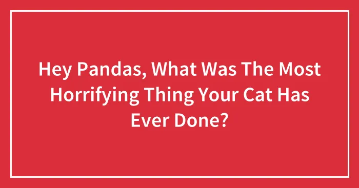 Hey Pandas, What Was The Most Horrifying Thing Your Cat Has Ever Done? (Closed)