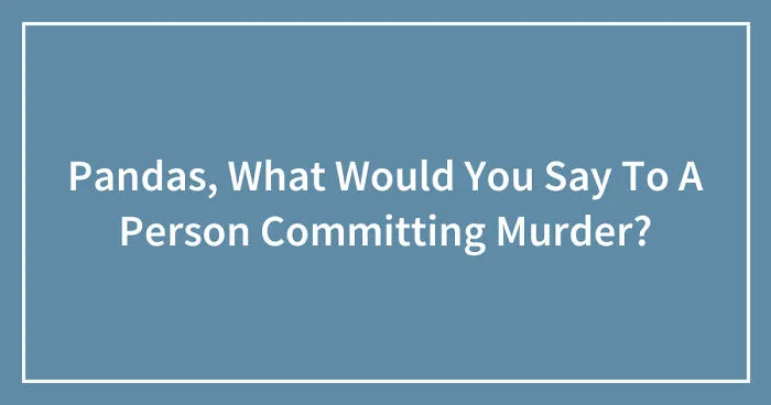 Pandas, What Would You Say To A Person Committing Murder? (Closed)