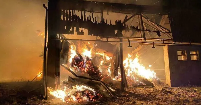This Is Not A Story About Me, But It Is My Wish To Help This Family Who Lost Their Means Of Work In A Fire Accident