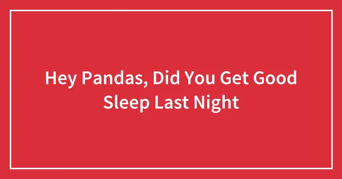 Hey Pandas, Did You Get Good Sleep Last Night