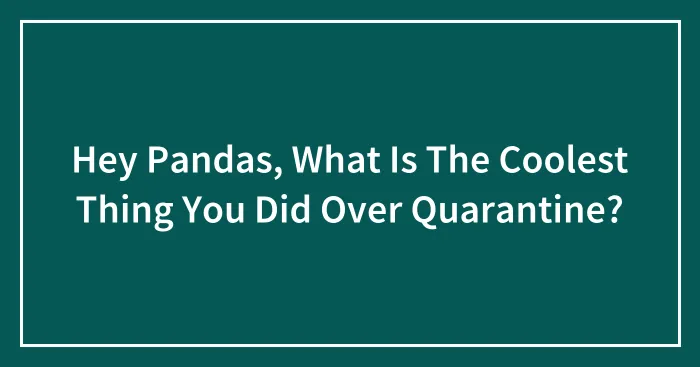 Hey Pandas, What Is The Coolest Thing You Did Over Quarantine? (Closed)