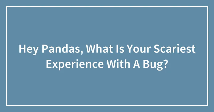 Hey Pandas, What Is Your Scariest Experience With A Bug? (Closed)