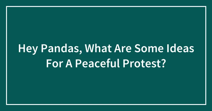 Hey Pandas, What Are Some Ideas For A Peaceful Protest? (Closed)