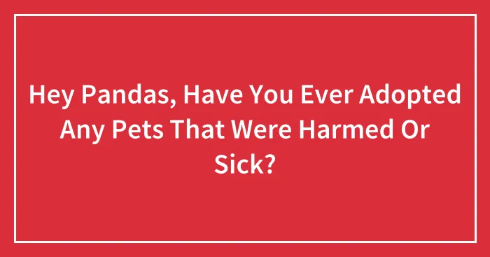 Hey Pandas, Have You Ever Adopted Any Pets That Were Harmed Or Sick? (Closed)