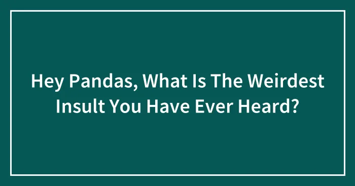 Hey Pandas, What Is The Weirdest Insult You Have Ever Heard? (Closed)