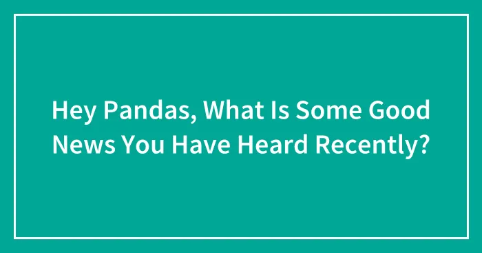 Hey Pandas, What Is Some Good News You Have Heard Recently? (Closed)