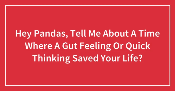 Hey Pandas, Tell Me About A Time Where A Gut Feeling Or Quick Thinking Saved Your Life? (Closed)