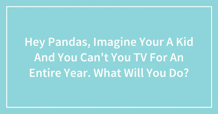 Hey Pandas, Imagine Your A Kid And You Can't You TV For An Entire Year. What Will You Do? (Closed)
