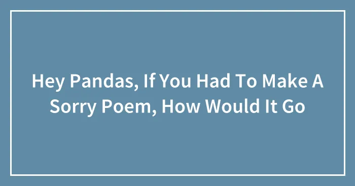 Hey Pandas, If You Had To Make A Sorry Poem, How Would It Go