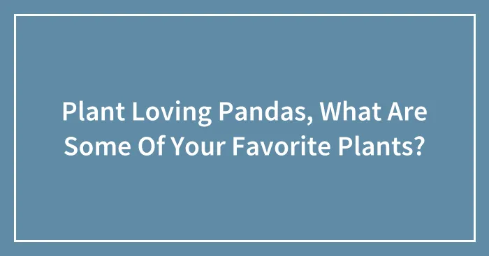 Plant Loving Pandas, What Are Some Of Your Favorite Plants?