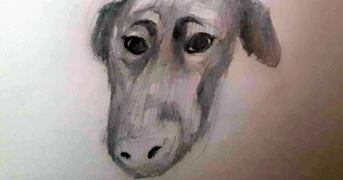 Hey Pandas, Draw The Best Portrait Of Your Dog (Closed)