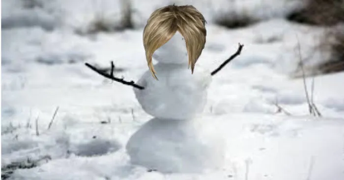 Hey Pandas, Add Subtitles To This Image Of Snow Karen (Closed)