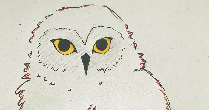Hey Pandas, What Is Your Favorite Animal And How Well Can You Draw It? (Closed)