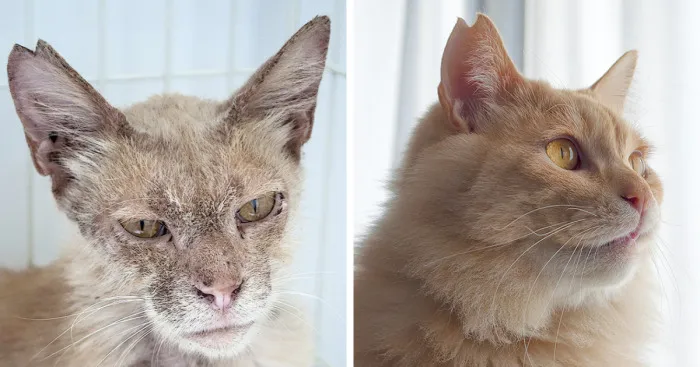 More Photos Of Chataro's Amazing Transformation