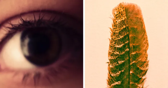 I'm Twelve, And Here's Some Of My Photography