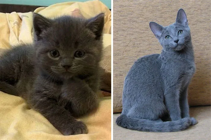 Baby To Now
