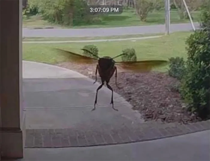Hmm, Interesting Door To Door Salesman. What Do You Think He Wants?