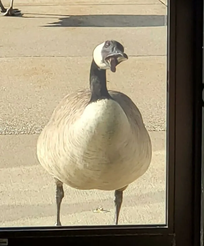 He Did Not Appreciate Me Telling Him That We Weren't Open, And He Couldn't Come In