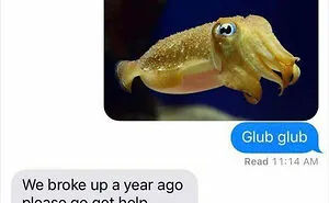 50 Social Media Posts That Are Comedy Gold