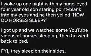 50 Hilarious Photos That Perfectly Sum Up Parenting (New Pics)