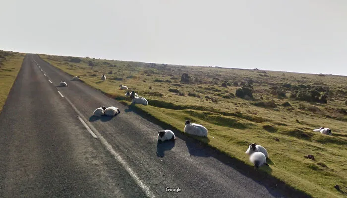 40 Vistas de calles que probablemente Google no esperaba captar, descubiertas por Jon Rafman