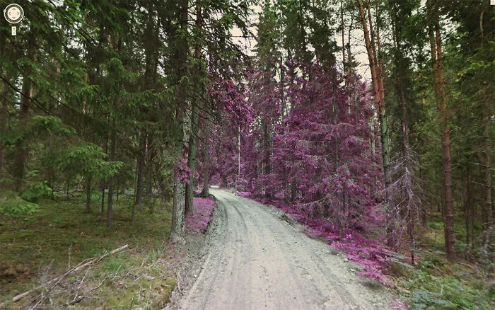 40 Vistas de calles que probablemente Google no esperaba captar, descubiertas por Jon Rafman