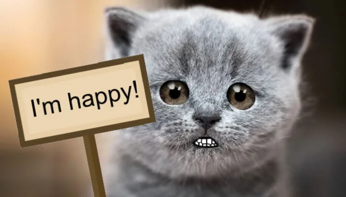 Happy Cat