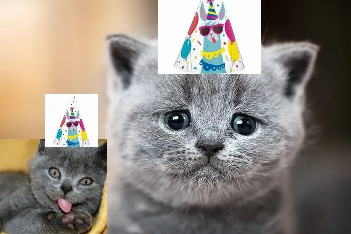 I Tried I Falled