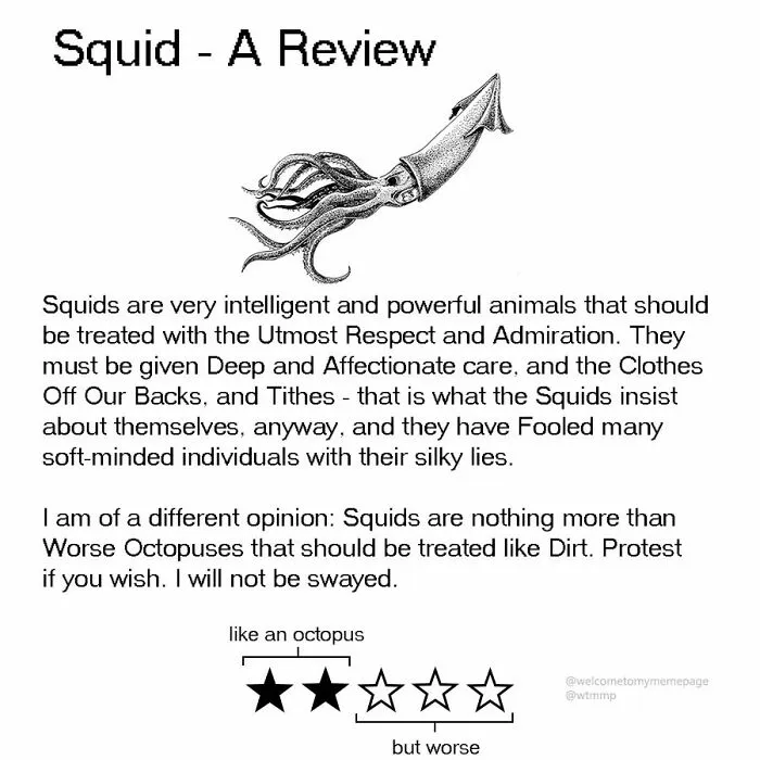 Squid
