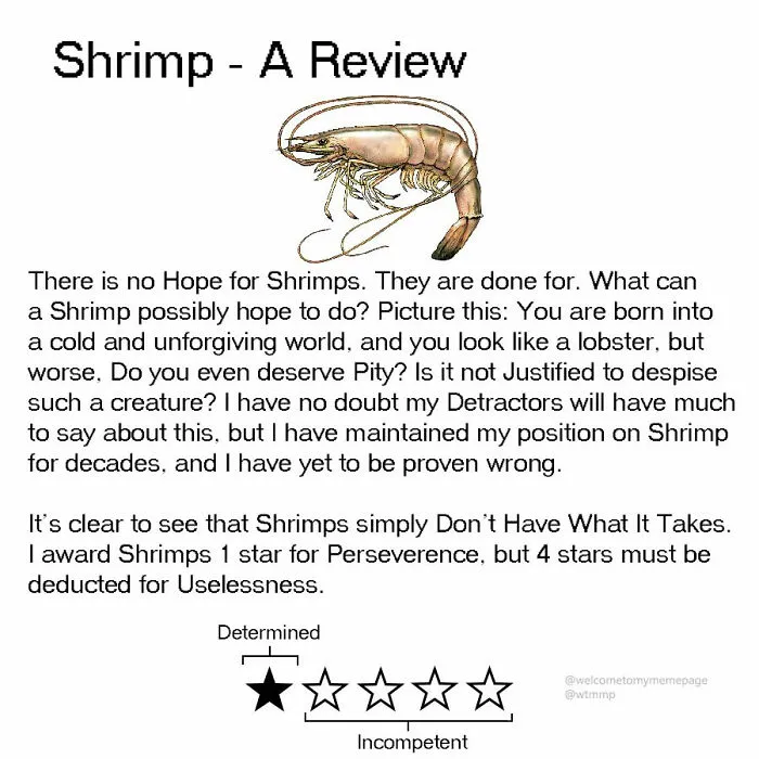 Shrimp