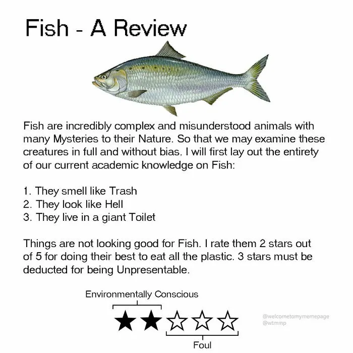 Fish