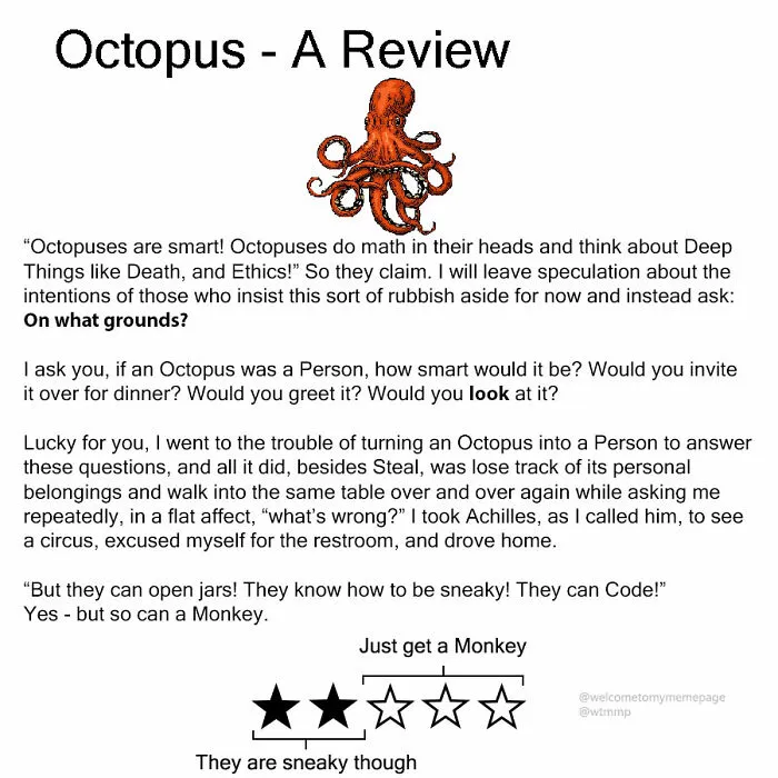 Octopus