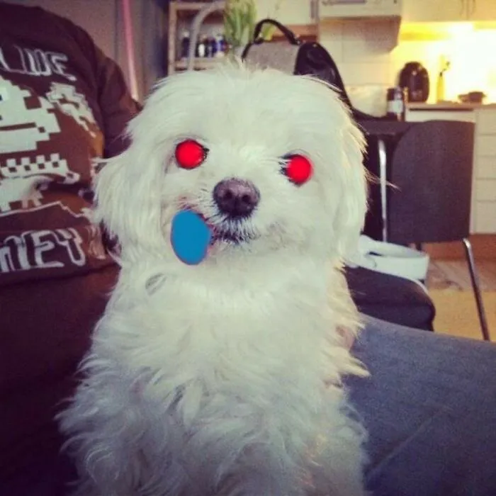 It Be A Demon Dog!